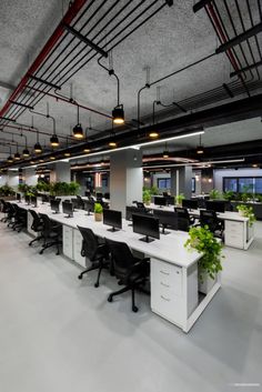 an office with plants in the middle of it and lots of desks on each side