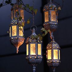 three hanging lanterns lit up at night with ivy growing on the top and below them