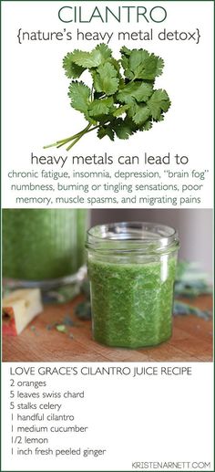 Sweet! A juice detox recipe for a happy, healthy brain - Kristen Arnett Healthy Detox Cleanse, Happy Juice, Magia Das Ervas, Detox Juice Recipes, Smoothie Detox, Juicer Recipes, Sweet Recipe, Healthy Juice Recipes, Juicing For Health