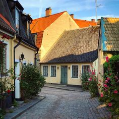 a cobblestone street lined with houses and flowers