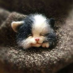 a small kitten sleeping on top of a pile of grey carpet with it's eyes closed