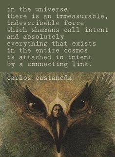 an eagle with the caption that reads, in the universe there is an immovable