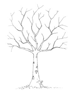 a drawing of a tree with no leaves