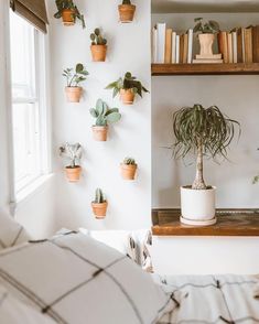 there are many houseplants on the wall in this room, and one is green