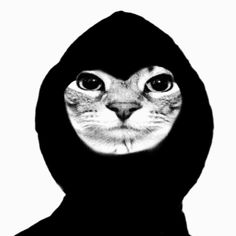 a black and white photo of a cat's face in a hooded hoodie