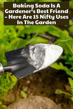 Planting Hacks, Baking Soda Benefits, Daily Ideas, Gardening Vegetables, Baking Soda Uses, Thriving Garden, Garden Hacks, Veg Garden, Garden Decor Ideas