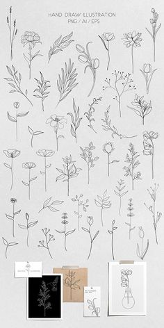 an assortment of hand drawn flowers and plants on white paper with text overlaying them