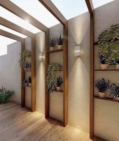 there are many potted plants in the corner of this room and on the wall