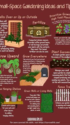 small space gardening ideas and tips