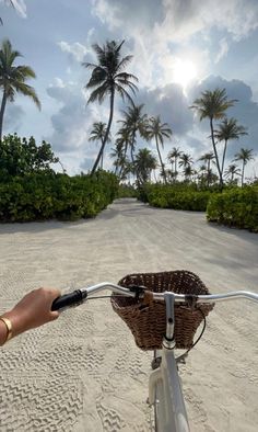 a person riding a bike down a sandy road with palm trees in the background on a sunny day