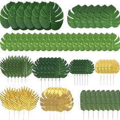 several different types of green and gold leaf shapes on white background with clippings