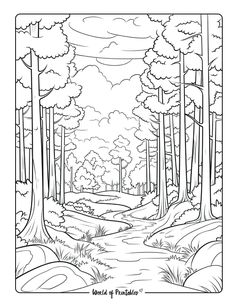 a coloring page with trees and water in the woods, surrounded by grass and rocks