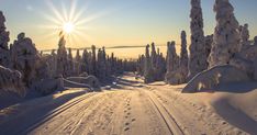 the sun shines brightly over snow covered trees and tracks in the snow - covered road