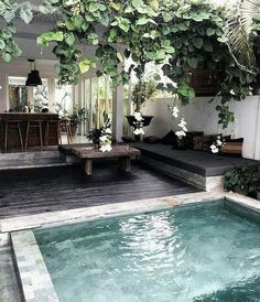 an indoor swimming pool surrounded by greenery