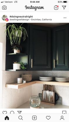 a kitchen with black cabinets and white counter tops, plants on the shelf above the sink