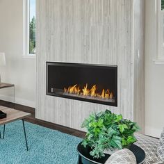 Do you think gas fireplaces need chimneys? No! The Monessen 42 Vent Free Fireplace lets you enjoy a cozier indoor room more easily. Get the best deal here! Traditional Fireplaces, Linear Gas Fireplace, Sleek Fireplace, Vent Free Gas Fireplace, Gas Fireplaces, Linear Fireplace, Fireplace Logs, Free Gas, Brick Paneling