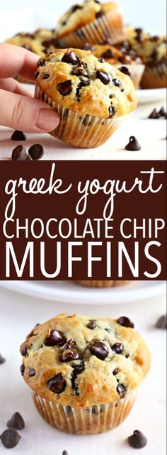 chocolate chip muffins on a plate with text overlay that reads, greek yogurt chocolate chip muffins