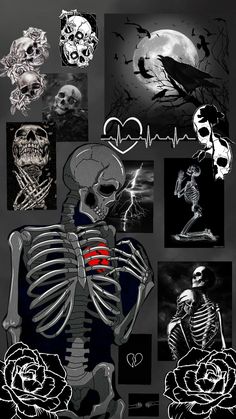 a bunch of skeleton images with different designs on them, all in black and white