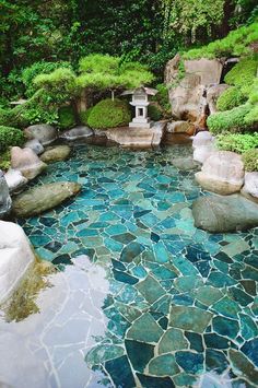 an outdoor pool with rocks and plants around it