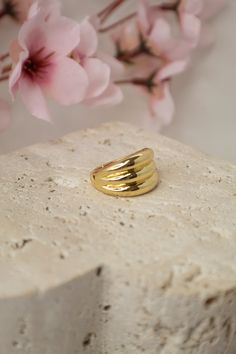 A chunky, layered gold ring with an elegant style, perfect for those who want to stand out. This classic and versatile design is ideal for both casual and sophisticated looks. - Material: Rhodium - Size: Adjustable. Colombian Gold, Miyuki Ring, Bronze Earrings, Gold Anklet, Energy Bracelets, Natural Energy, Bracelet Collection, Wire Earrings, Earrings Collection