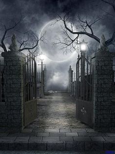 an image of a creepy gated area with the moon in the sky above it