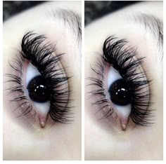 Textured Hybrid Lash Extensions, Doll Eye Lash Extensions D Curl, Doll Eye Hybrid Lash Extensions, Pretty Lash Extensions, History Of Tattoos, Natural Extensions, Tattoo After Care, Best Lash Extensions