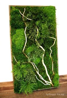 a moss wall with white branches and green plants