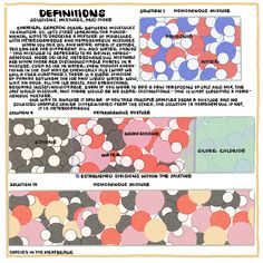 the instructions for how to make an origami paper with circles and polka dots