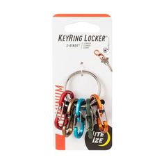 keyring locker with multicolored keys in the front and on the back