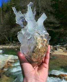 someone is holding up a rock with ice on it in front of a river and trees