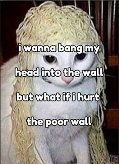 a white cat sitting on top of a floor next to a pile of hay with the caption i wanna bang my head into the wall but what if i hurt the poor wall