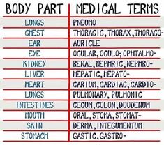 the body part medical terms are written in red and blue on a white background