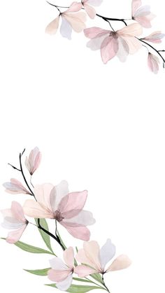 watercolor painting of pink flowers on white background