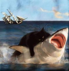 a black cat sitting on top of a shark in the ocean next to a ship