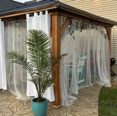 a patio covered with curtains and a potted plant