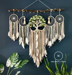 there is a wall hanging with several dream catchers on it and a potted plant