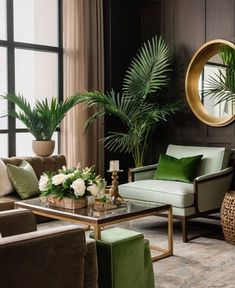 a living room filled with furniture and plants