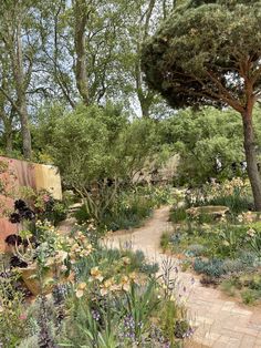 a garden with lots of flowers and trees