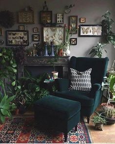 a living room filled with lots of plants and pictures on the wall above a fireplace