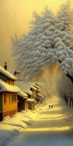 a snowy street lined with houses and trees