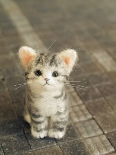 a small kitten sitting on top of a tiled floor