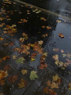 an umbrella and some leaves on the ground in front of a street with traffic lights