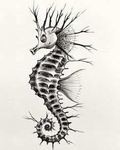 Unique Seahorse Tattoo, Seahorse Tattoo For Men, Sea Horse Tattoo Design, Seahorse Sketch, Gg Tattoo, Sealife Tattoos, Marine Sketch, Ocean Theme Tattoos, Sea Life Tattoos