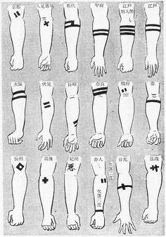 an image of different types of hands and feet in various positions, from the earliest to the present day