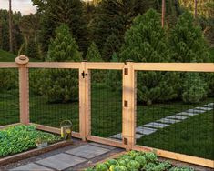 a vegetable garden with wooden fence and green plants