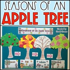 the seasons of an apple tree is shown in this classroom bulletin board with cut outs