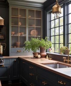 a kitchen with black cabinets, gold accents and green plants in the window sill