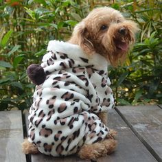 a dog wearing a leopard print coat sitting on a wooden table in front of some bushes