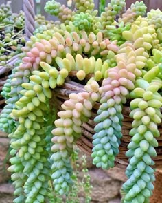 a bunch of green and pink flowers in a basket