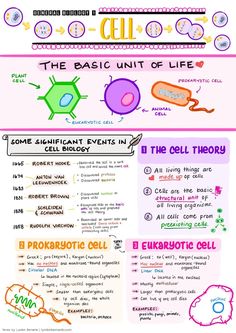 the basic unit of life poster is shown in two different colors and font, with an image